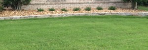 Lawn 2